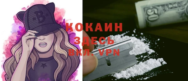 ешки Богданович