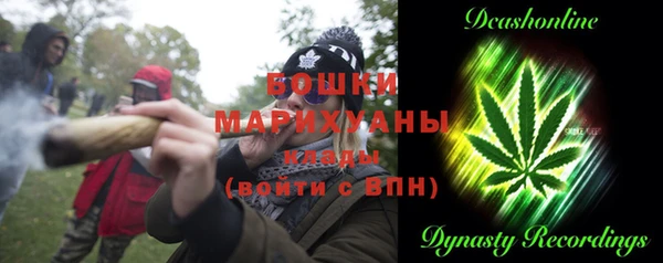 ALPHA PVP Богородицк