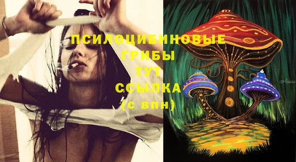 ешки Богданович