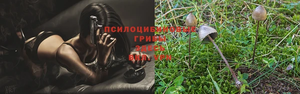 альфа пвп Бугульма