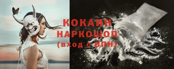 дмт Богородск