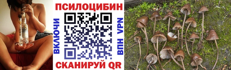 Псилоцибиновые грибы мицелий Назарово